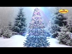 Merry Christmas |  Best Animated Christmas Tree