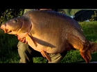 Korda - Carp, Tackle, Tactics & Tips Vol 5 Part 2 - 2012 Free Carp Fishing DVD
