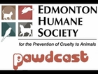 March 2013 Edmonton Humane Society's Pawdcast
