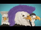 Bald Eagle Hair Growth - Dr. Miles Bernard (Animation)
