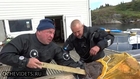 Monkfish trying to eat Divers arm