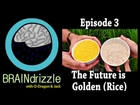 Braindrizzle Ep3 - The Future is Golden (Rice)
