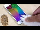 iPhone 5s Touch ID: What You Should Know (Human/Dog Demo)