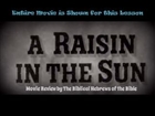 Part 3 Movie Review A Raisin in the Sun