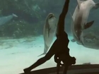 Girl dances and Makes Dolphin Laugh - So cute!