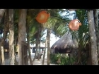 Tulum Series - part 5, Mexican food and eating in Tulum (Mexican documentary for foodies)